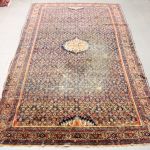 736 1021 ORIENTAL RUG